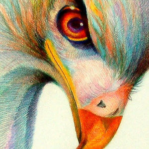 Meet your Posher, Gray